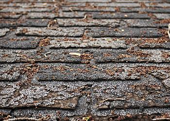 Experior Roofing Images