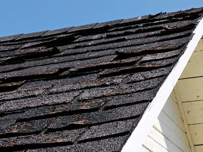 Experior Roofing Images